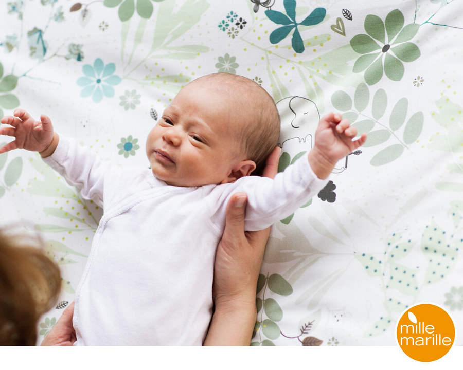 Cambiador ELEFANTES ELEGANTES